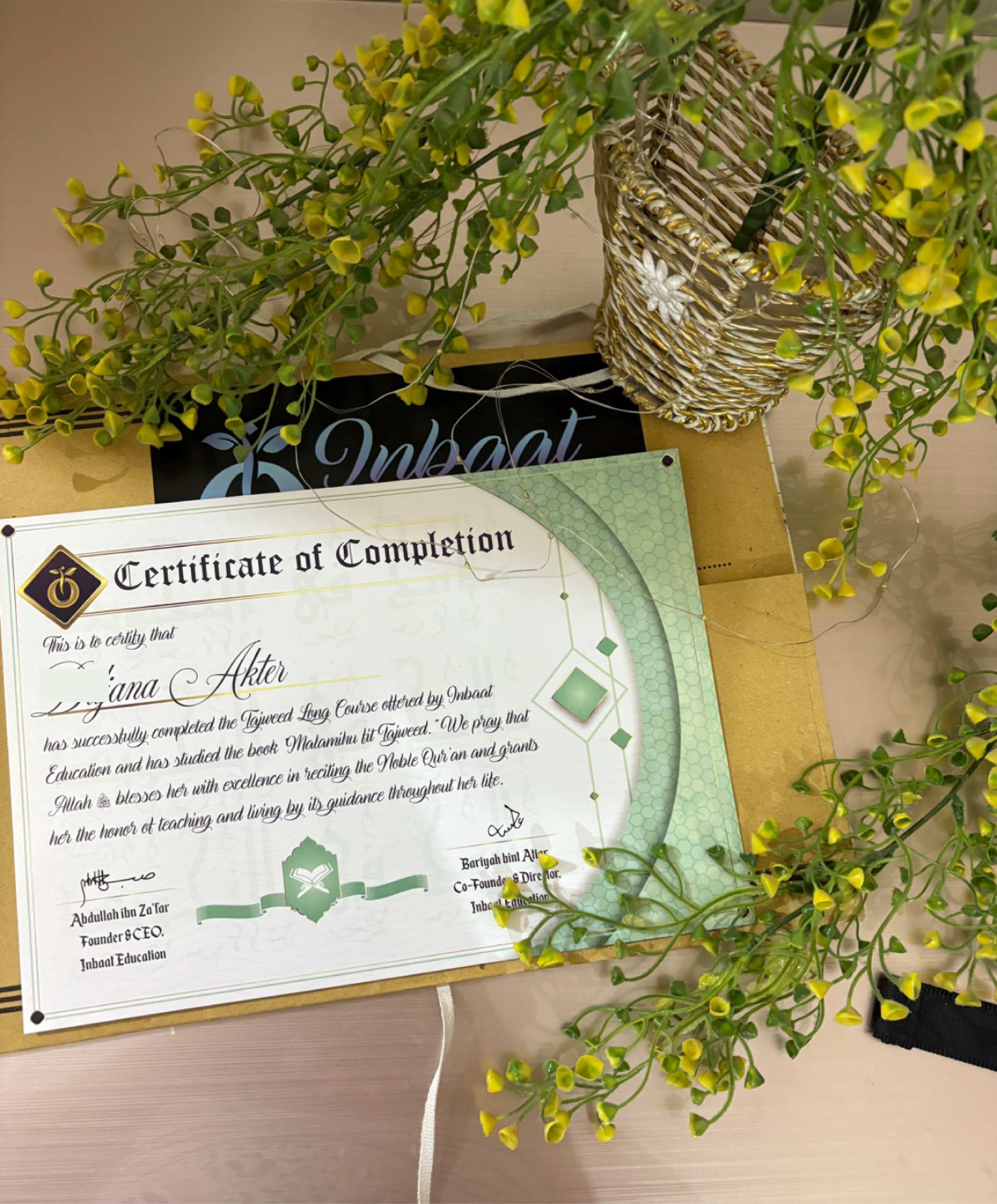 Image hover effect image